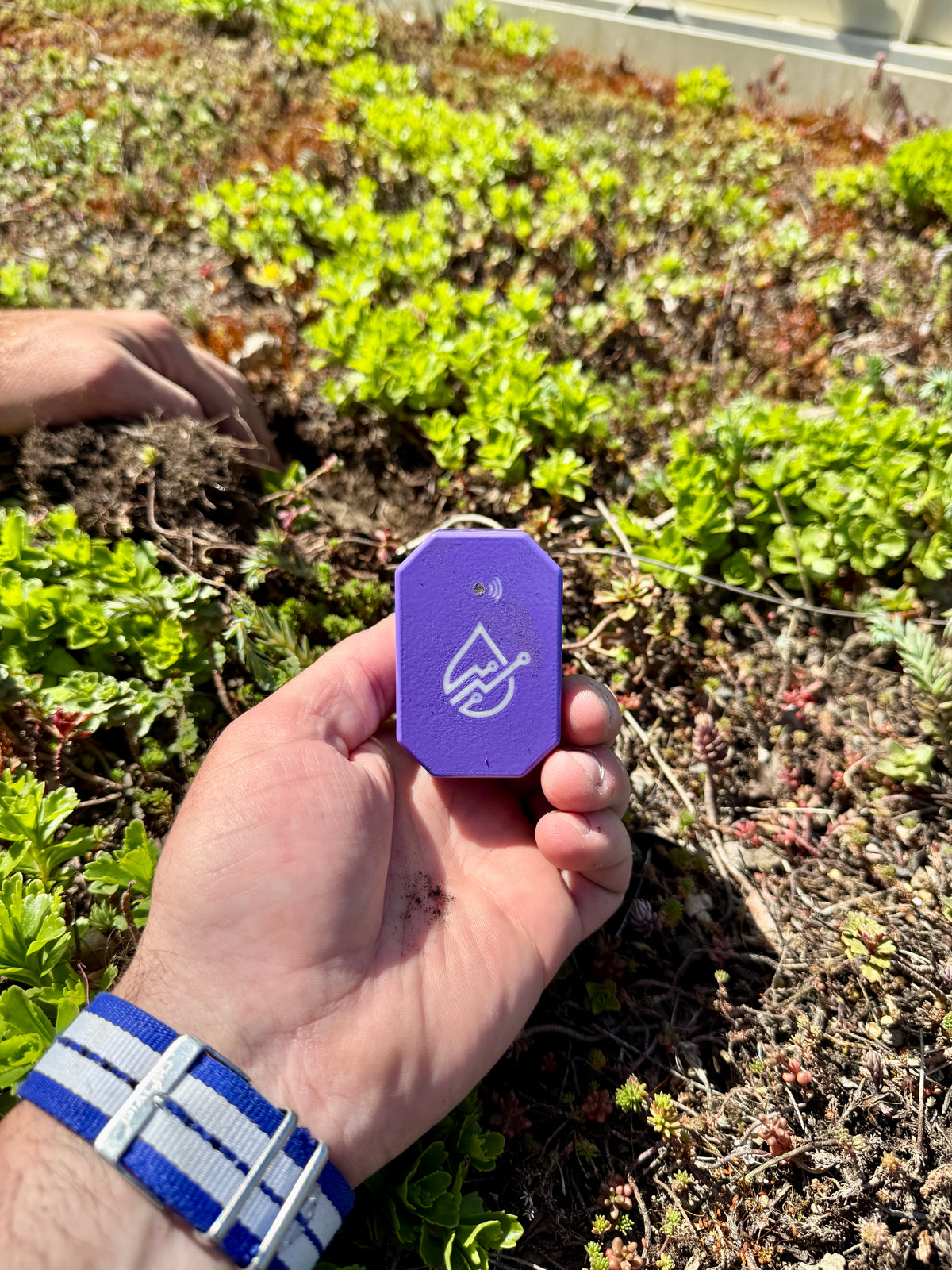 BLADE soil moisture sensor held in a hand