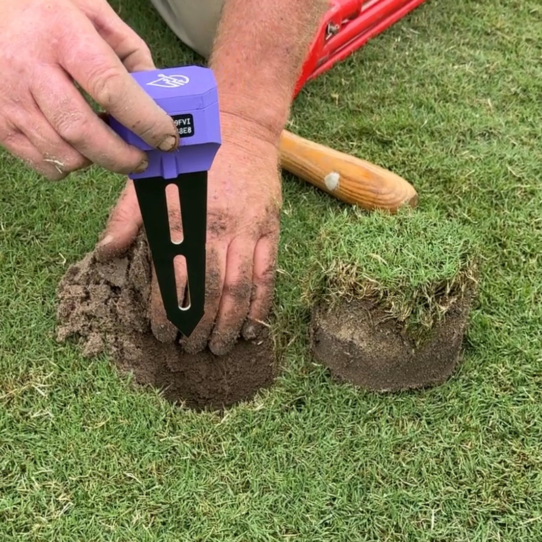 Soil moisture sensor being installed below the turf