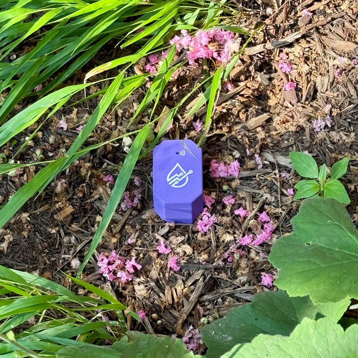 Wireless soil moisture sensor set into the ground