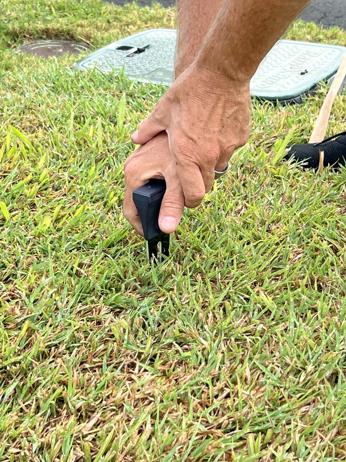 Pushing a BLADE into a lawn by hand
