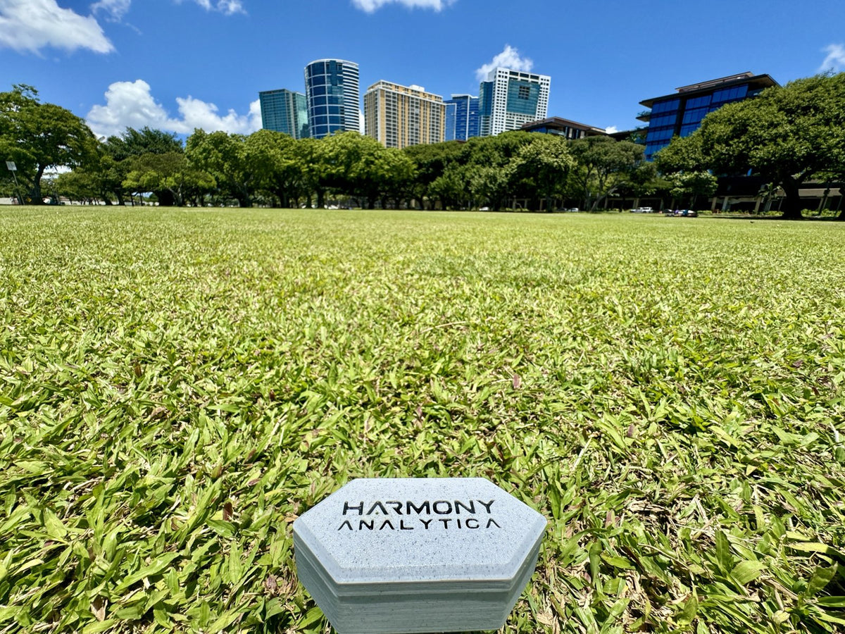 Harmony Analytica node on a park lawn with Honolulu towers behind