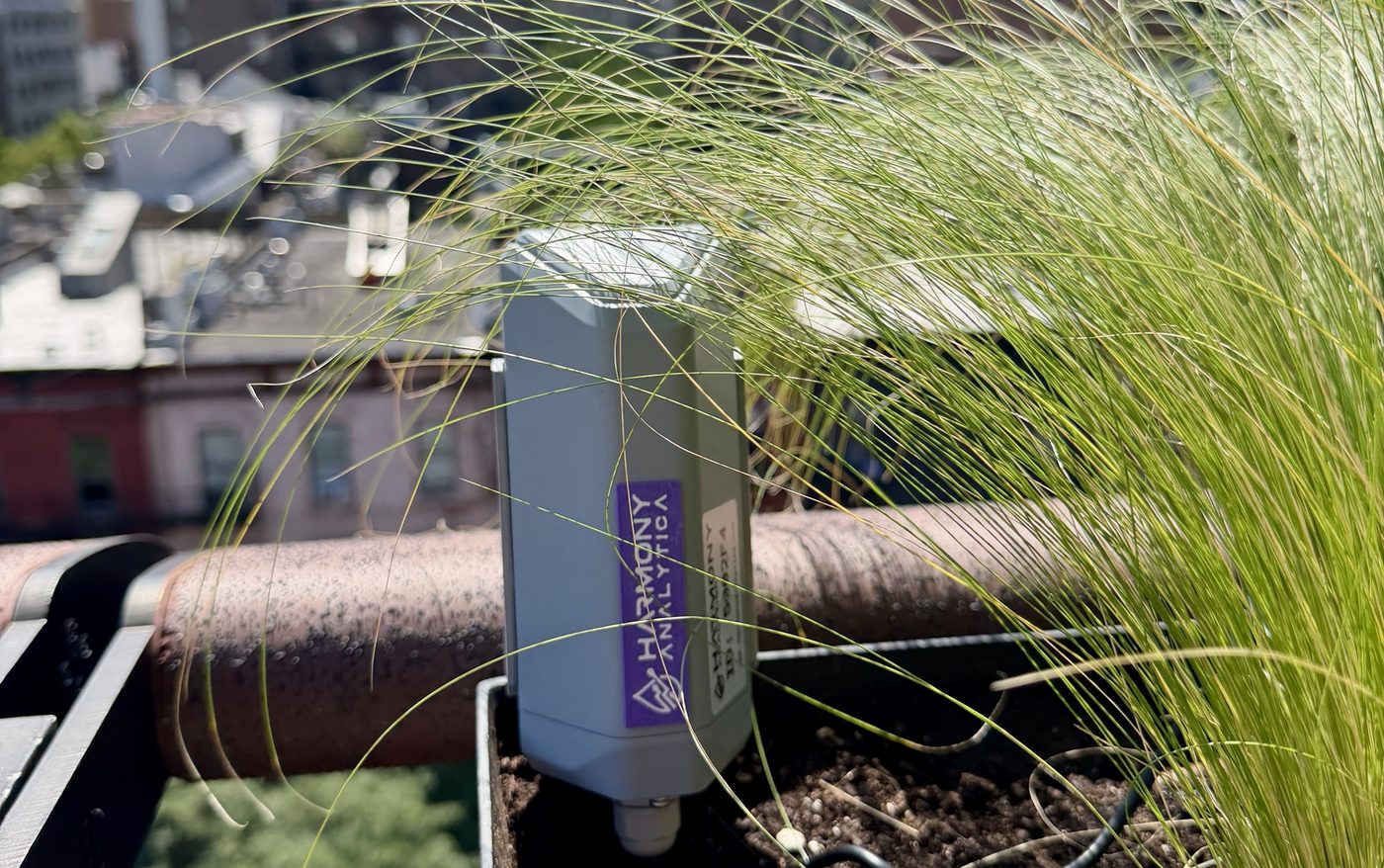 Harmony Analytica LoRaWAN node in a rooftop planter with the skyline behind